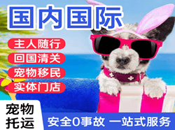 忻州国际宠物托运 【国